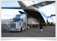 Freight Forwarding