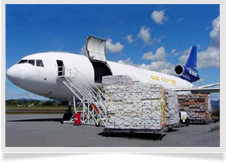 Air Freight